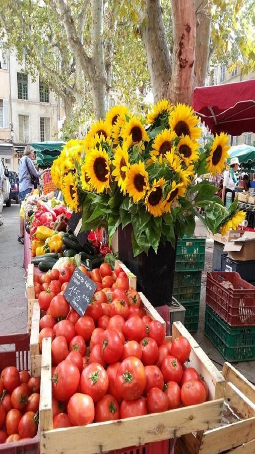 Sunny Apartment With Nice View In History City Center Aix-en-Provence Eksteriør billede